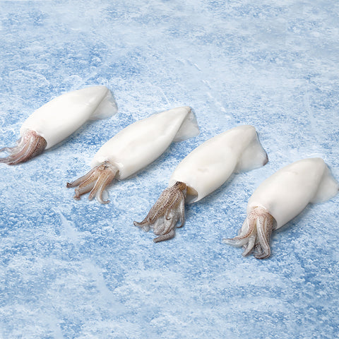 Aquablue, Baby Calamars, Whole Cleaned, IQF