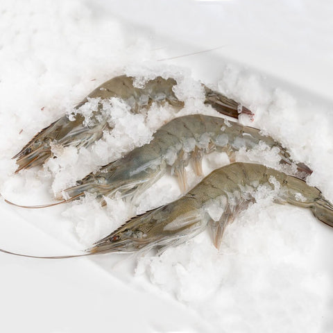Aquablue, Equadorian Vannamei Brine Shrimps Head On Shell on
