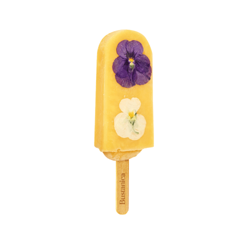 House of Pops, Bustanica, Orange Passion Bloom