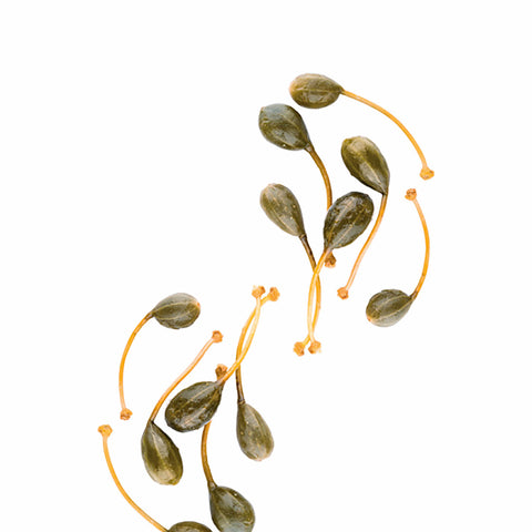 Ristoris, Caper Fruits In Vinegar Glass Jar