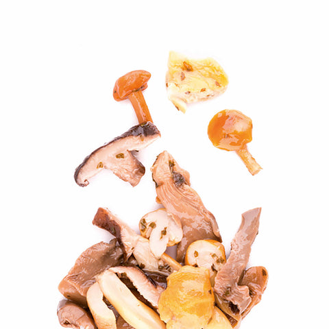Ristoris, Sauteed Mushroom Mix