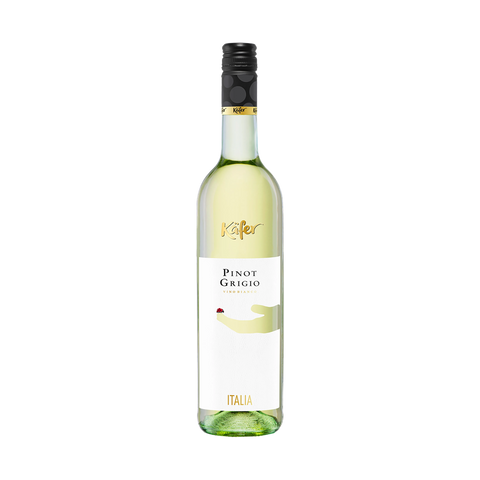 Käfer, Pinot Grigio