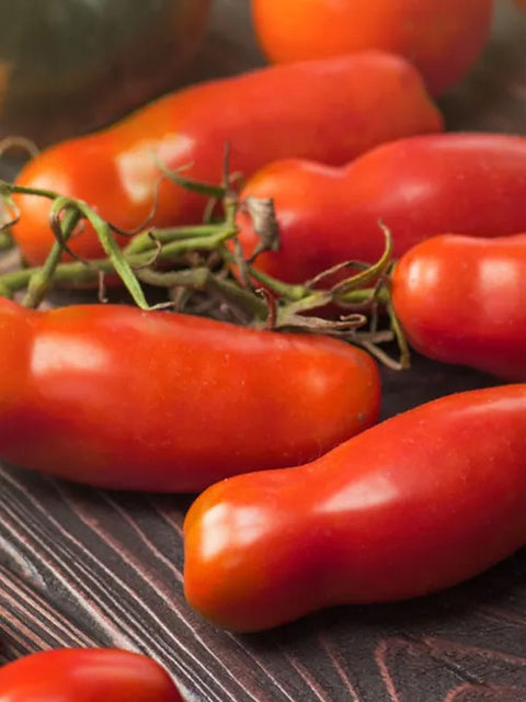 Lungo Parma, Peeled Tomatoes