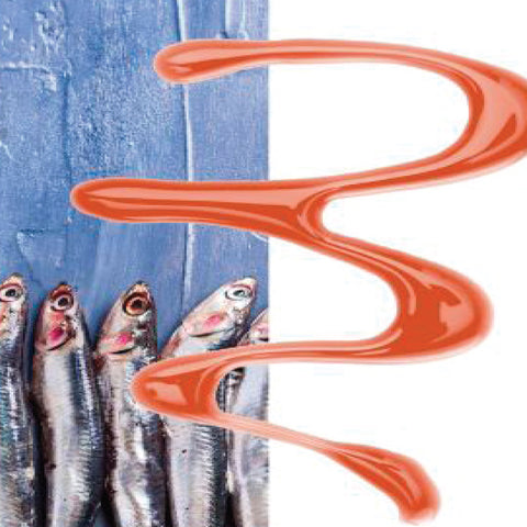 Ristoris, Anchovy Colatura Pearls