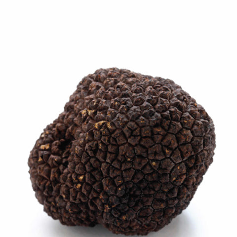 Ristoris, Truffle Pearls